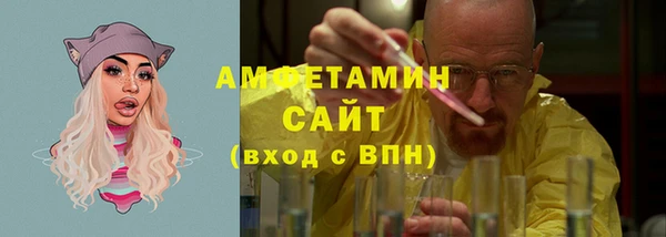 ПСИЛОЦИБИНОВЫЕ ГРИБЫ Гусев